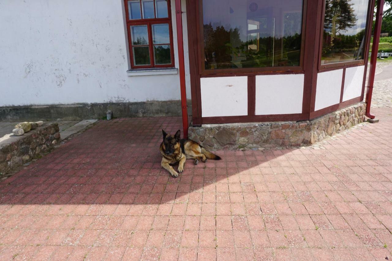 Pilskalni Otel Ivande Dış mekan fotoğraf